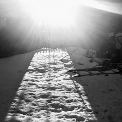 Negative Blooms 1.0 (snippet)