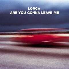 Are You Gonna Leave Me