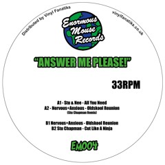 Stu & Nee - All You Need - EM-VFS004 - 192mp3 clip