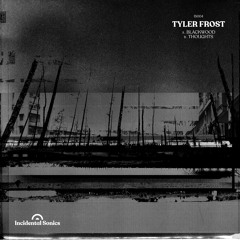 Lost In Ether | P R E M I E R E | Tyler Frost - Blackwood [Incidental Sonics]