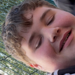 trev dog