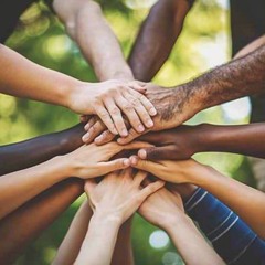 Unity in Diversity