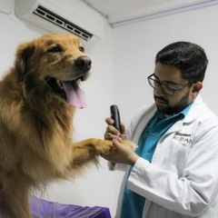 Animal House, Veterinaria y Spa. Emprendimiento fortalecido por Fondo Emprender del SENA Bolívar.