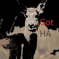 H Doe