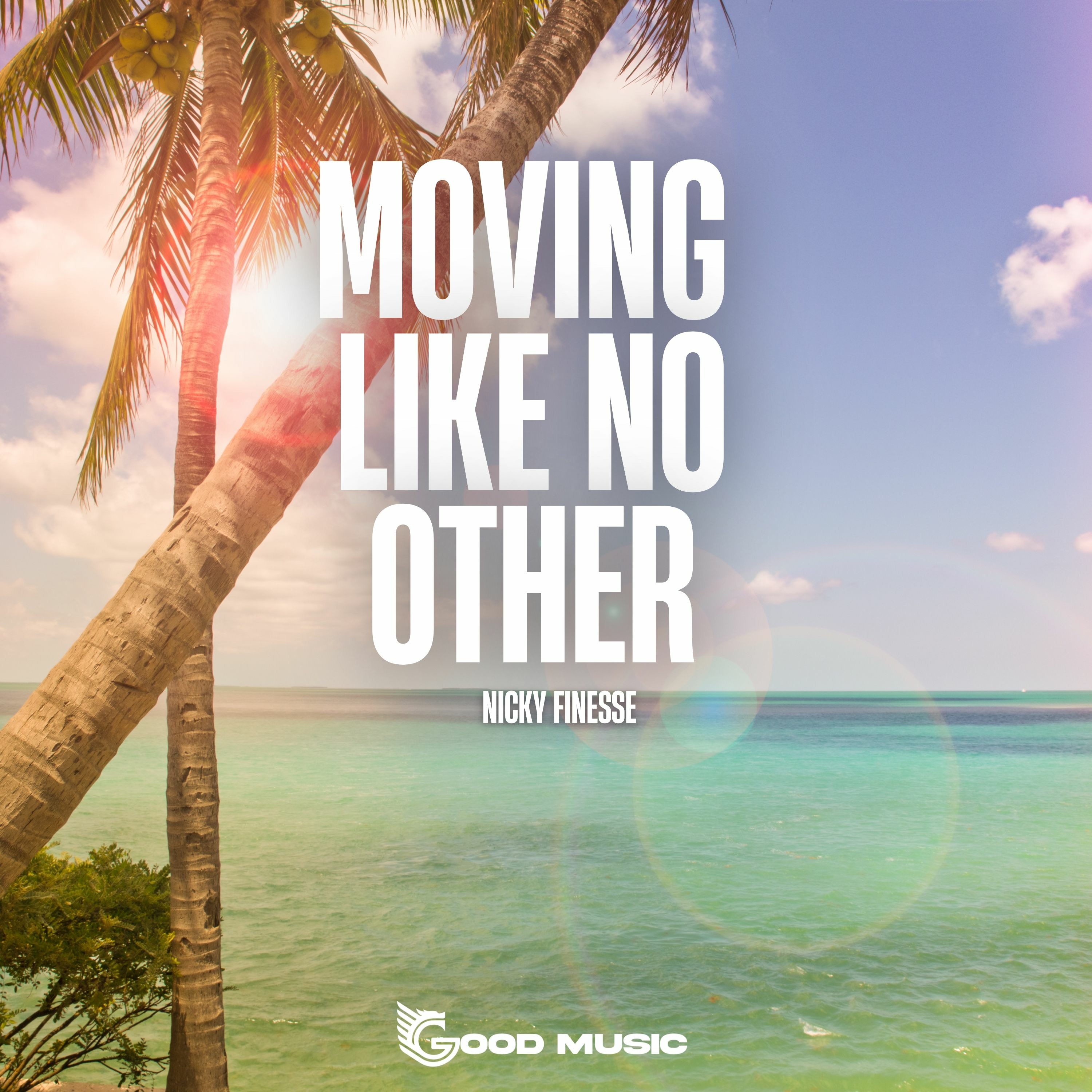 NF201907MLNO : Nicky Finesse - Moving Like No Other (Club Mix) episode artwork