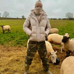 🐏🐏🐑
