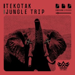TeKotaK - Jungle Trip