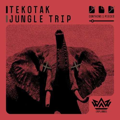 Tekotak - Jungle Trip