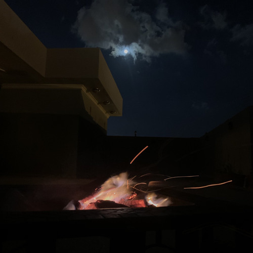 أحبـك