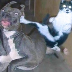 owl city - fireflies [drumkyt rmx]