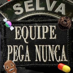 10 MINUTINHOS DE FINAL DE ANO, RLK DO URSO E GARDENAL 🐻💊 (( BEBELDIOURO55 ))