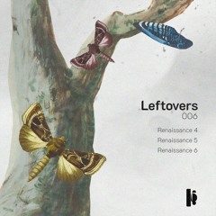 Premiere : Leftovers - Renaissance 6 (LOS006)