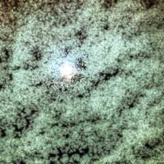 Pellucid