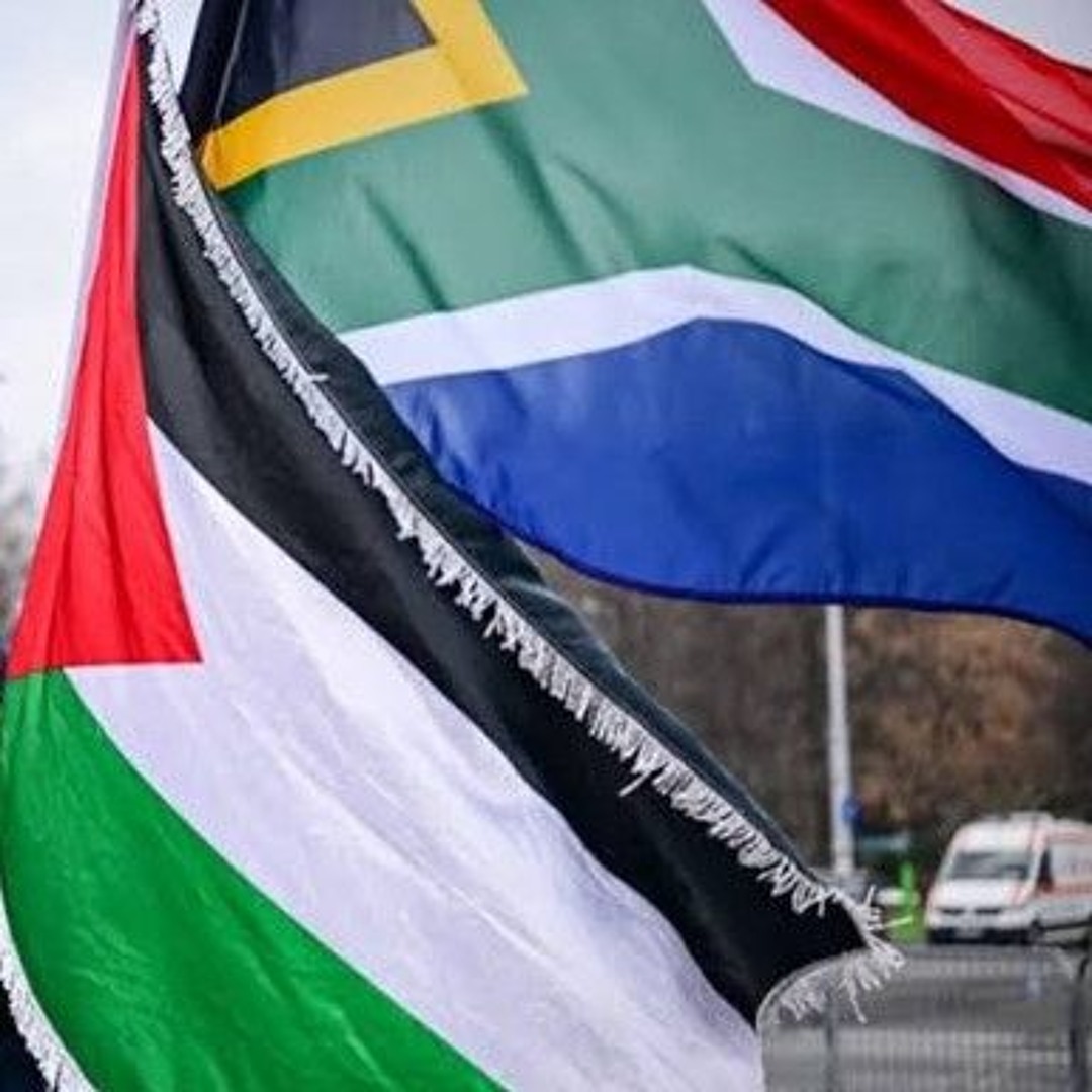 Palestinian solidarity rights act under consideration by DIRCO