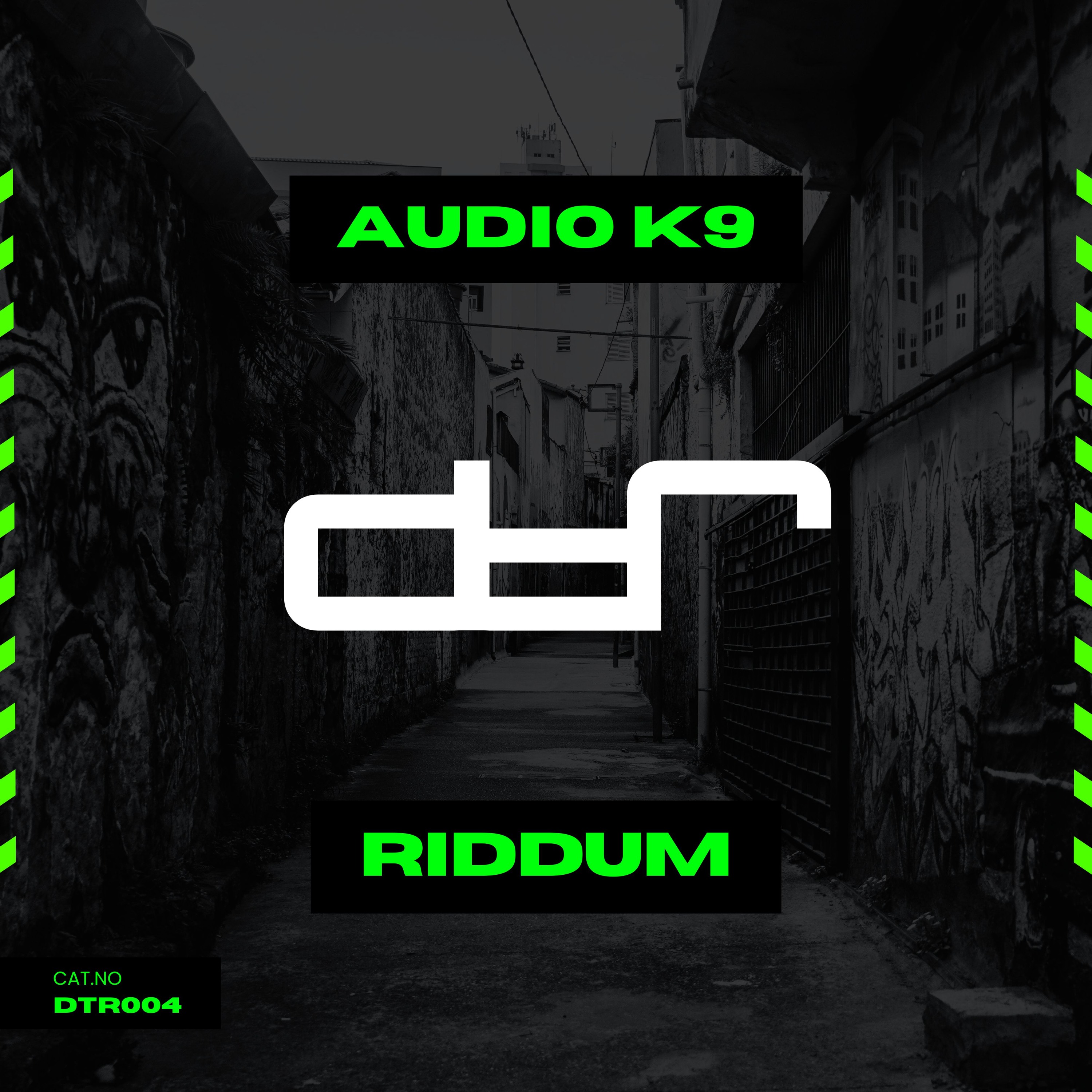 Riddum (Extended Mix) episode artwork