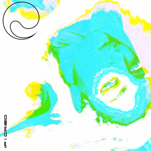 IF I CRIED (pitched up) - charli xcx (HIFN demo)