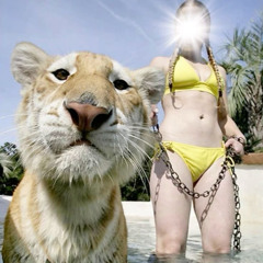 miami 2sa (prod. siemspark)