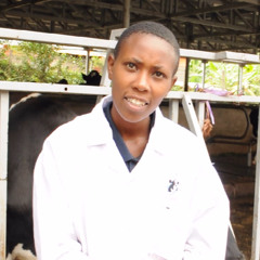 Vijana wakumbatia kilimo bunifu Kajiado Kenya