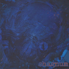 Shagnum (2005)