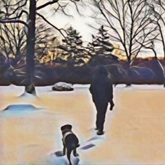 Trust (prod. sorrow bringer)