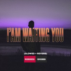 unknown spaces - i am waiting you (slowed + reverb)