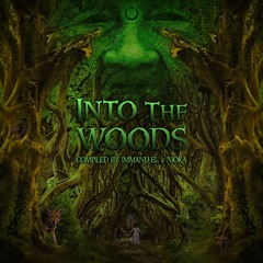 Teorema - Into The Woods (Sunna Records) - 09 If (151)