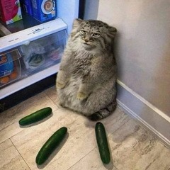 construction site riddim