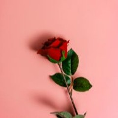 Lovely