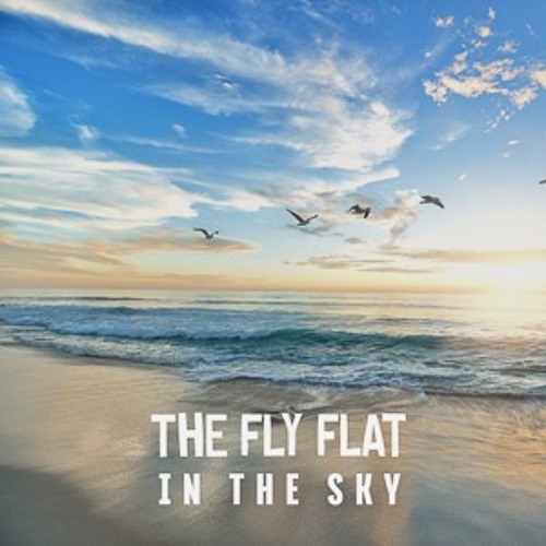 They fly flat in the sky