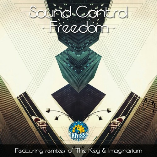 Insider (Sound Control Remix)