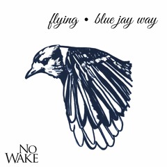Flying / Blue Jay Way (Beatles covers)