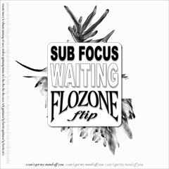 sub focus - waiting (flozone flip)
