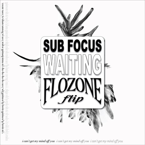 sub focus - waiting (flozone flip)