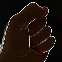 fist