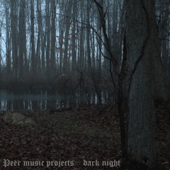 dark night