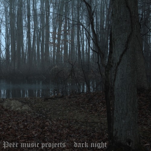 dark night