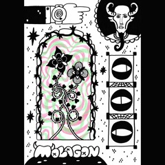 Venus Fly Trap - Be Howard