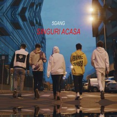 5GANG - SINGURI ACASA