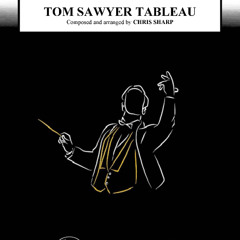CB-1051_Tom Sawyer Tableau