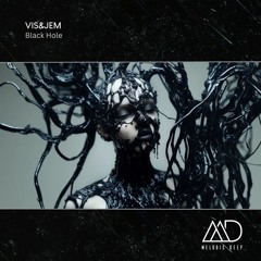FREE DOWNLOAD: Vis&Jem - Black Hole (Original Mix)