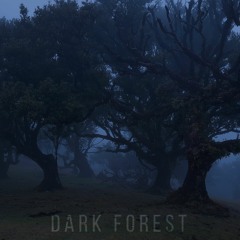 Dark Forest