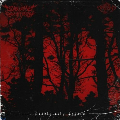 Devouring Annihilation - Distressed Soul