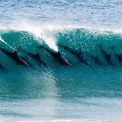 ~Mystiq~😉 The speed of the leader is the speed of the gang..