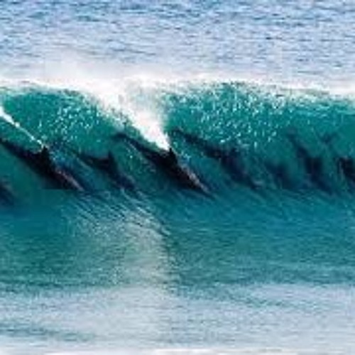 ~Mystiq~😉 The speed of the leader is the speed of the gang..