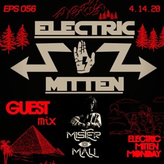 MISTER.MALI GUESTmix LIVE w/ Electric Mitten 4.15.20 (RELEASE TOMORROW)