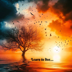 Learn to live - Instru