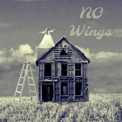 No Wings