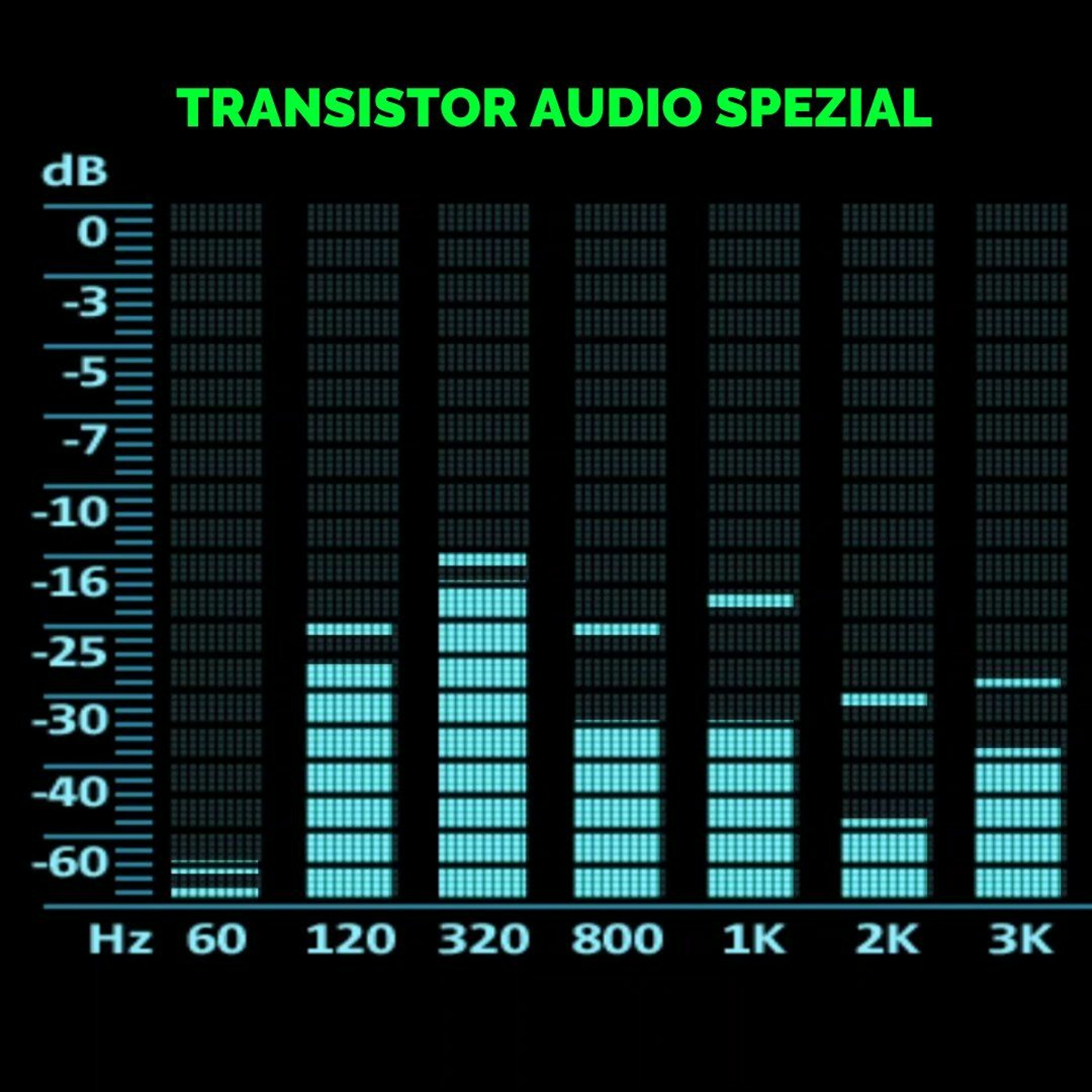 TRANSISTOR AUDIO SPEZIAL #1 - Quellenkompetenz, Medienkompetenz und Literaturrecherche episode artwork