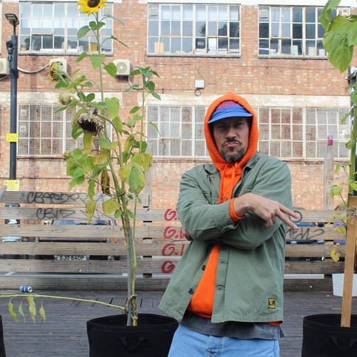 Alexander Nut 270925