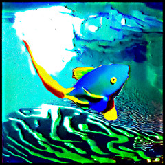 B-Muse @ Minimal & Groove Dj-Set